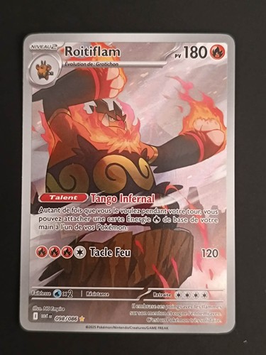 Carte pokemon flamme blanche - pokemon,
