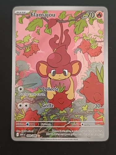 Carte pokemon flamme - pokemon,
